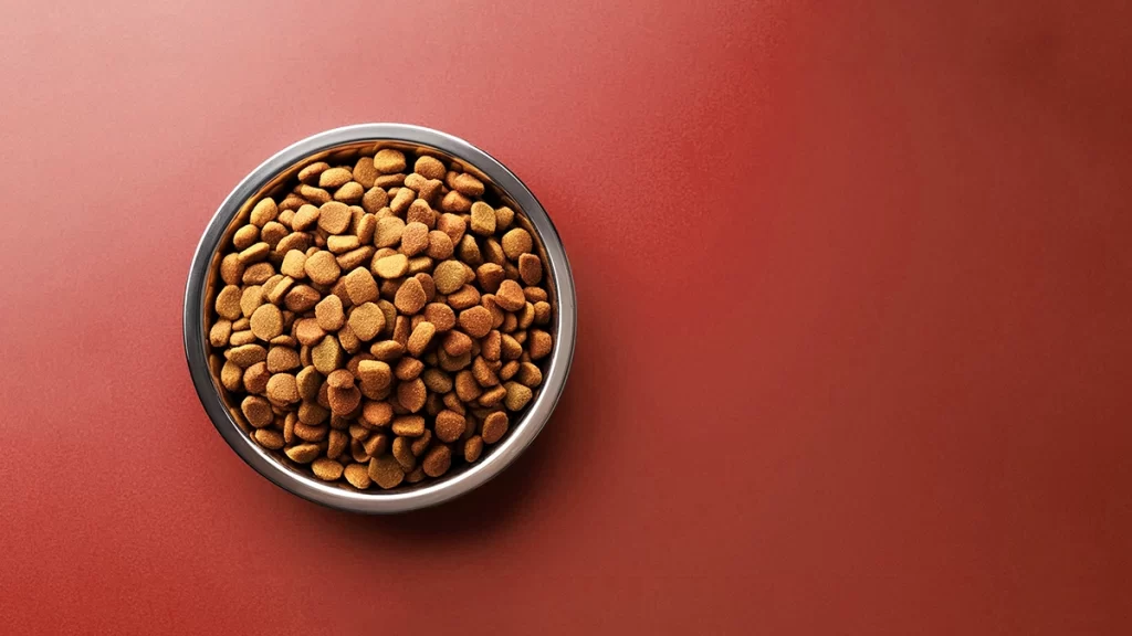 アカナ・オリジンのドッグフードのイメージ画像