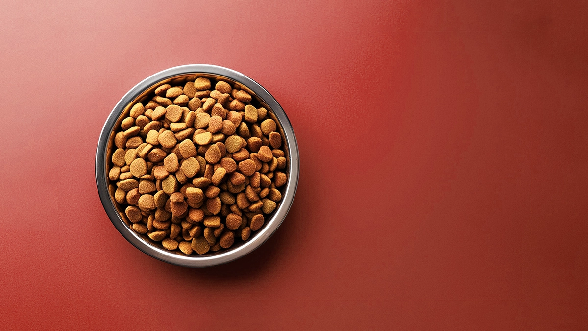 アカナ・オリジンのドッグフードのイメージ画像