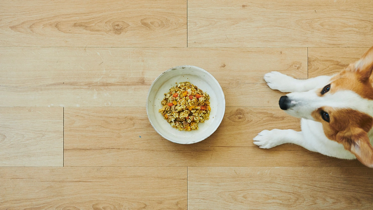 ペトコトイメージ