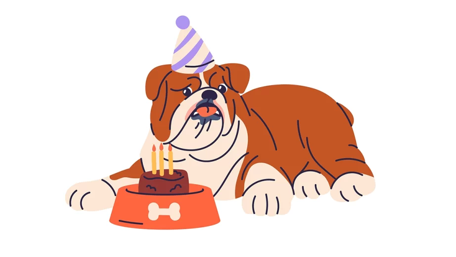 ダイエットの犬