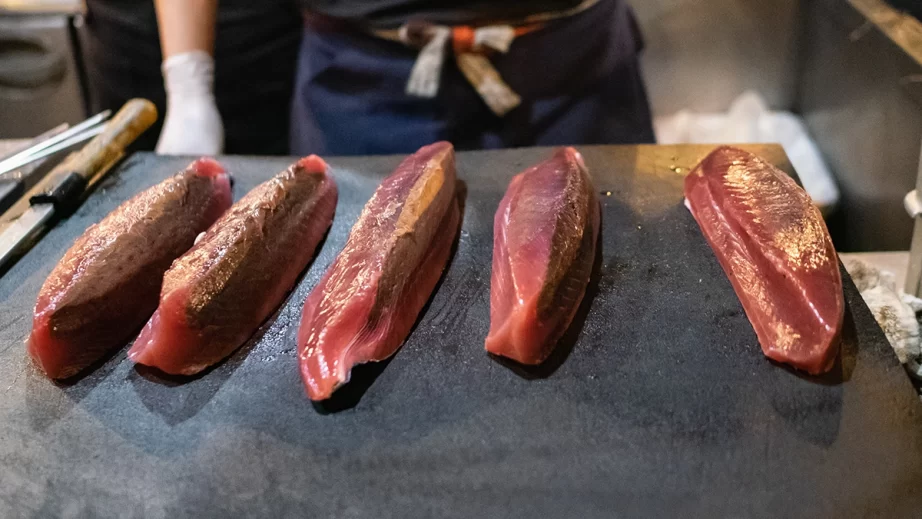 カツオイメージ