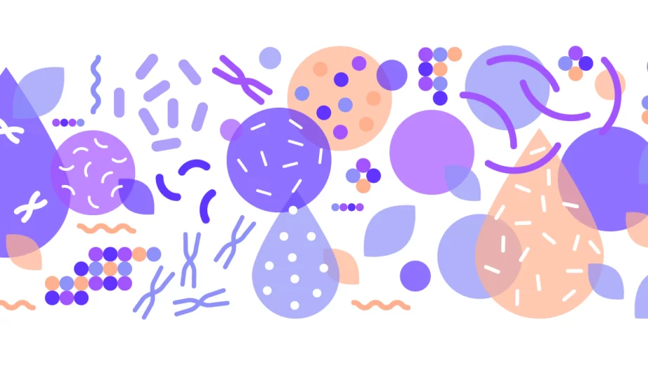 パテラのイメージ