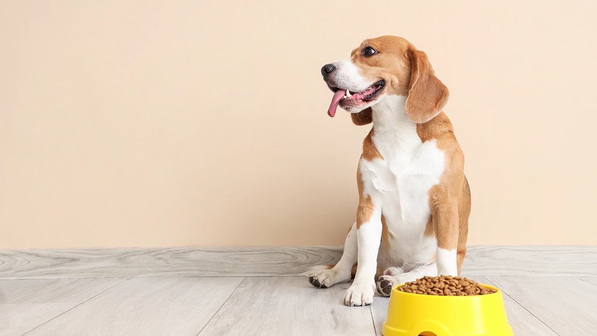 ダイエットイメージ